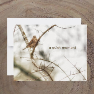 House Finch in Winter Branches Soft Nature Photo Card