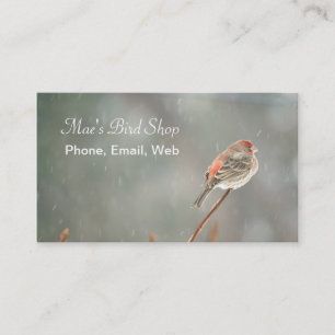 House Finch on a Branch Business Card
