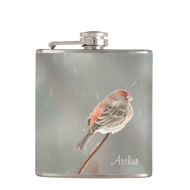 House Finch on a Branch Hip Flask (Front)