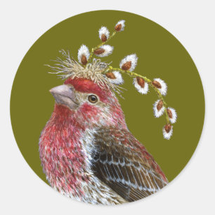 House finch sticker