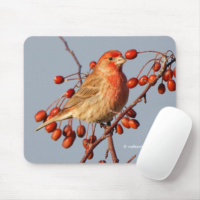 House Finch with Hawthorn Berries Mouse Mat (With Mouse)