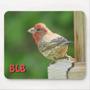 House Finch with your initials Mouse Mat
