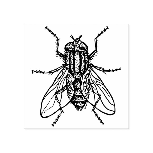 House fly rubber stamp (Imprint)