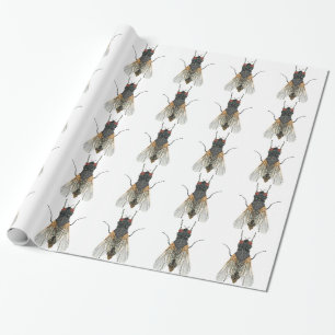 house fly . wrapping paper