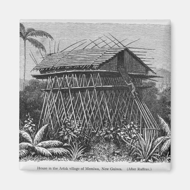 House in the Arfak village of Memiwa, New Guinea Magnet (Front)