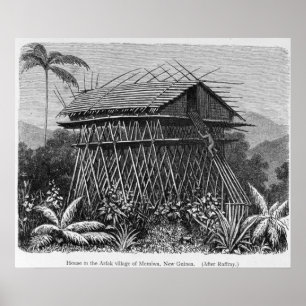House in the Arfak village of Memiwa, New Guinea Poster