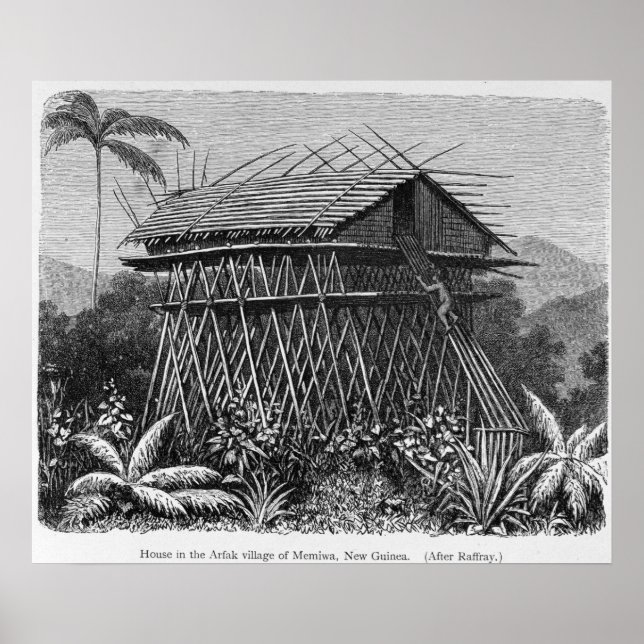 House in the Arfak village of Memiwa, New Guinea Poster (Front)