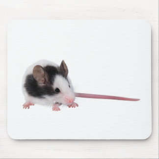 House mouse mat