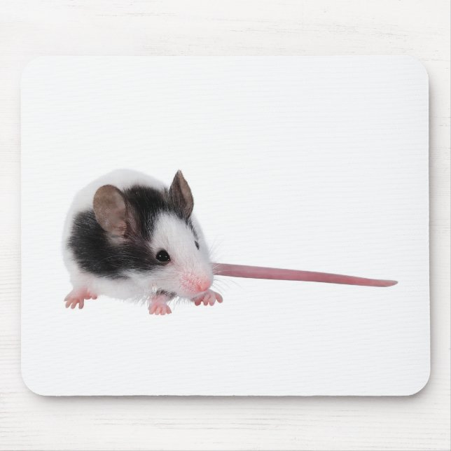 House mouse mat (Front)