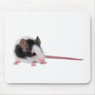House mouse mouse mat