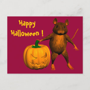 House Mouse Postcard