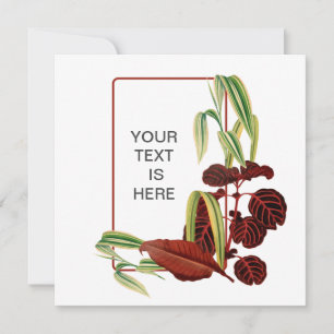 House plant gardener card