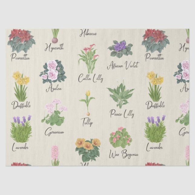 House Plants and their Names - Cute Minimal Modern Tissue Paper (Front)