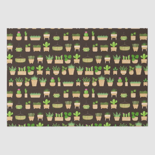 House Plants Cactus on Dark Brown Tissue Paper (Front)