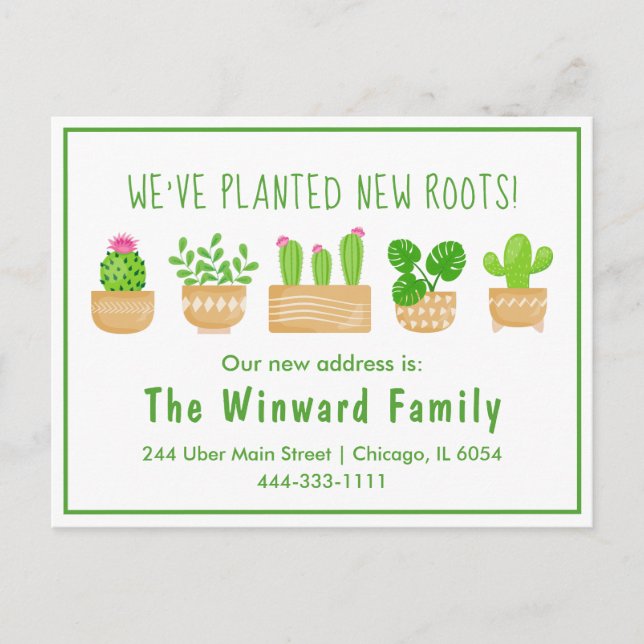 House Plants Cactus White New Home Postcard (Front)