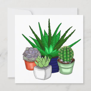 House Plants Succulents Thank You Card
