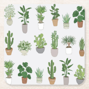 House plants, vintage doodle pattern square paper coaster