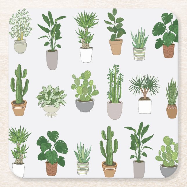 House plants, vintage doodle pattern square paper coaster (Front)