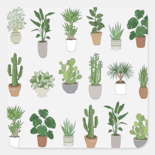 House plants, vintage doodle pattern square sticker (Front)