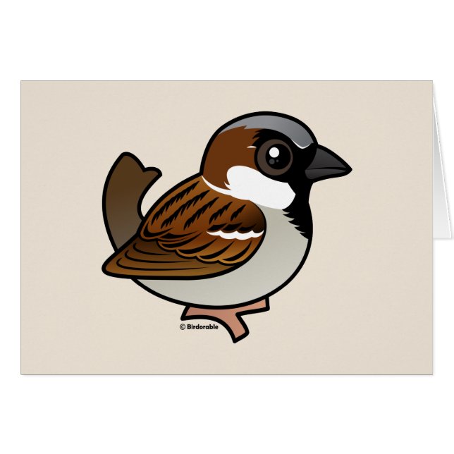 House Sparrow (Front Horizontal)
