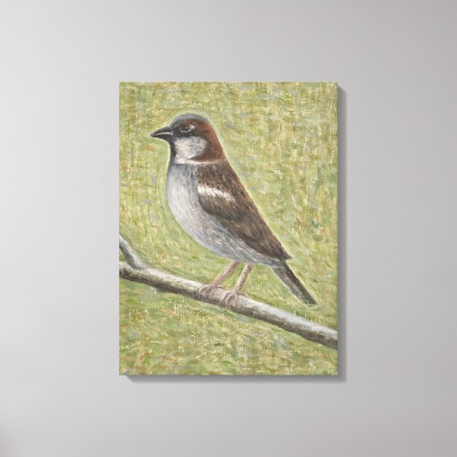 House Sparrow 2008 Canvas Print (Front)