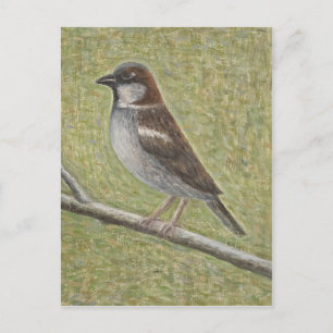 House Sparrow 2008 Postcard