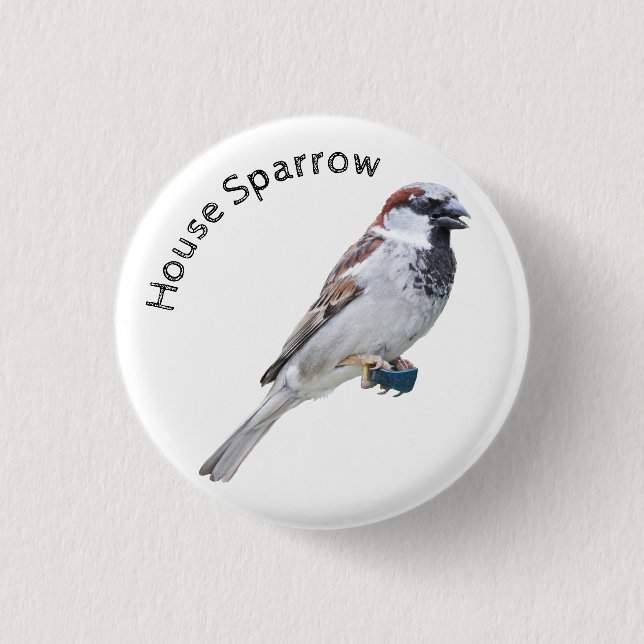 House Sparrow 3 Cm Round Badge (Front)