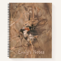 House Sparrow Birds Wildlife Photography With Text