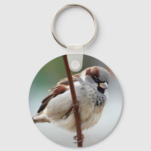 house-sparrow-male key ring