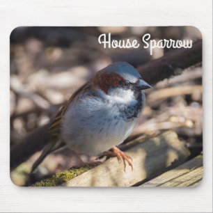 House Sparrow Mouse Mat