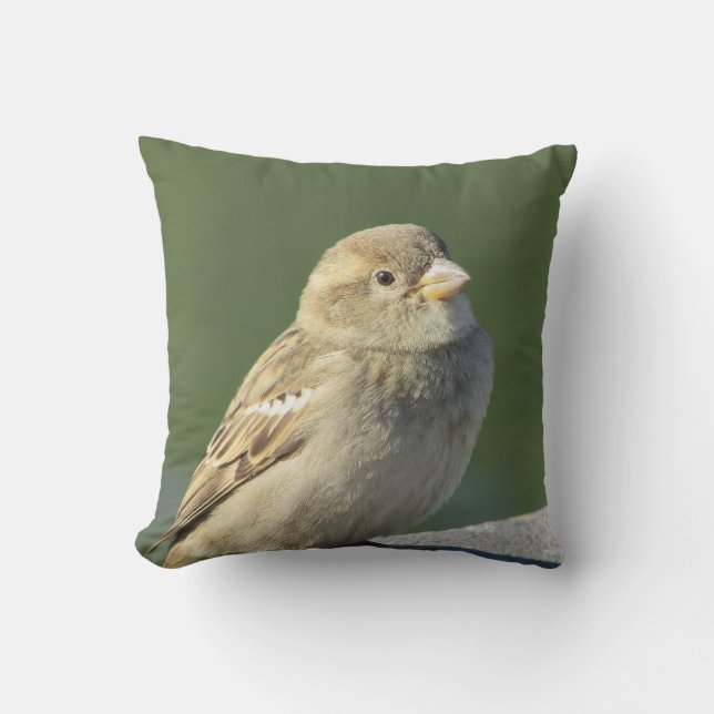 House Sparrow Photo Small Brown Bird Wild Nature Cushion (Front)