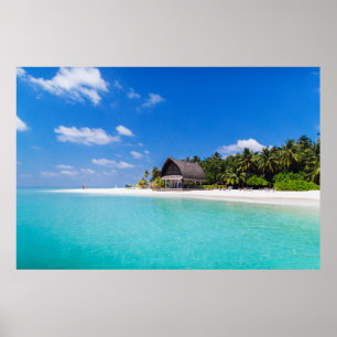 House Tropical Sandy Beach Poster