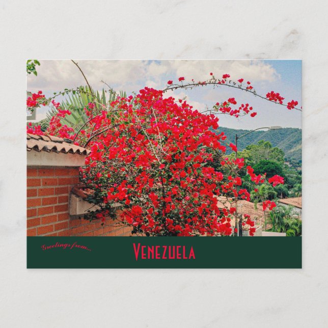 House With Flowers Caracas Venezuela Postcard (Front)