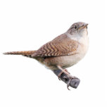 House Wren Photo Sculpture Magnet<br><div class="desc">An image of a House Wren</div>