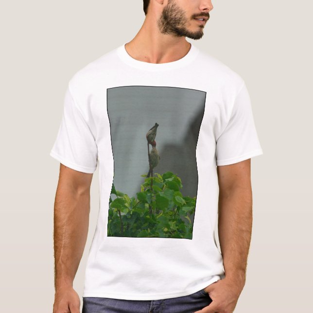 Housefinch Courthip #1 T-Shirt (Front)