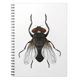 housefly cartoon notebook