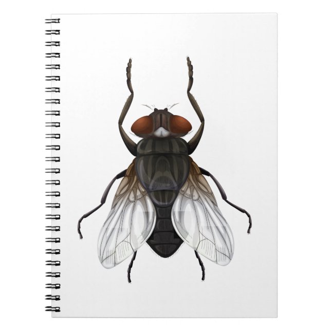 housefly cartoon notebook (Front)