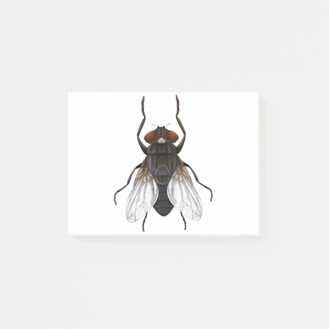 housefly cartoon post-it notes (Front)
