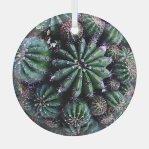 Houseplant Cactus: Nursery Beautiful Design Glass Tree Decoration