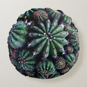 Houseplant Cactus: Nursery Beautiful Design Round Cushion