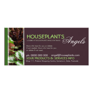 Houseplants Angels Rack Card