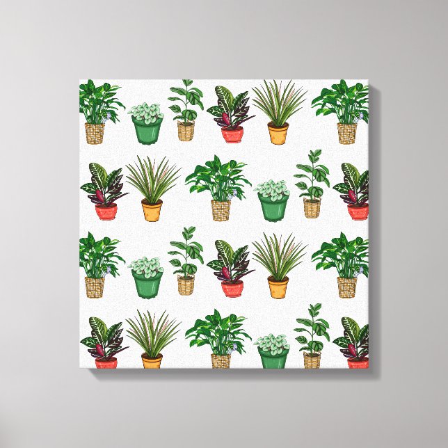 Houseplants Art Canvas Print (Front)