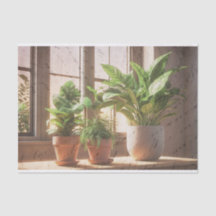 Houseplants By A Window Decoupage