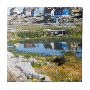 Houses in Greenland Tile