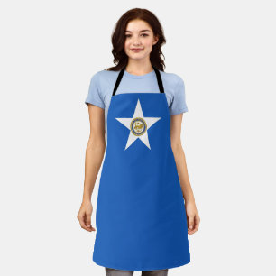 Houston City flag Apron