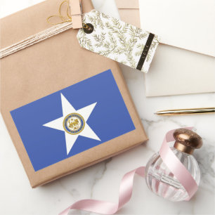 Houston (Texas) city flag Rectangular Sticker