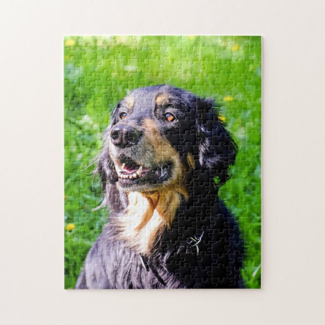 Hovawart Dog. Jigsaw Puzzle (Vertical)