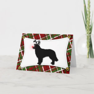 Hovawart Reindeer Christmas Card