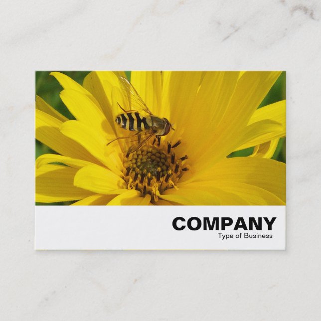 Hover Fly on a Yellow Chrysanthemum Business Card (Front)
