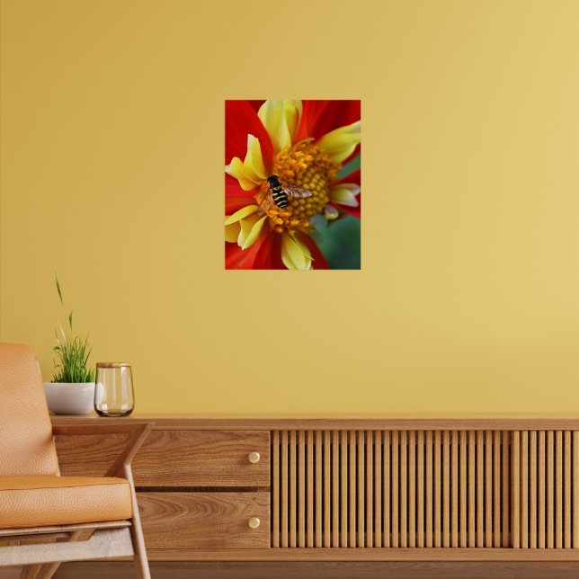 Hover Fly on Dahlia Photographic Poster (Living Room 2)